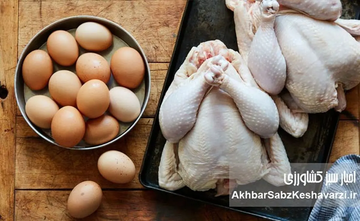 این مواد غذایی را قبل از مصرف نشویید؛ اشتباهی رایج در آشپزخانه