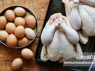 این مواد غذایی را قبل از مصرف نشویید؛ اشتباهی رایج در آشپزخانه