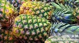 بزرگترین تولیدکننده آناناس جهان؛ داستان موفقیت کاستاریکا