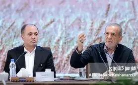 آقای پزشکیان! کشاورزی با چای دبش مدیریت نمی‌شود