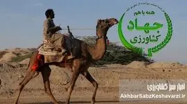 شترسواری وزیر جهاد کشاورزی؛ قاچ زین و سفت بچسب، شترسواری پیشکشت
