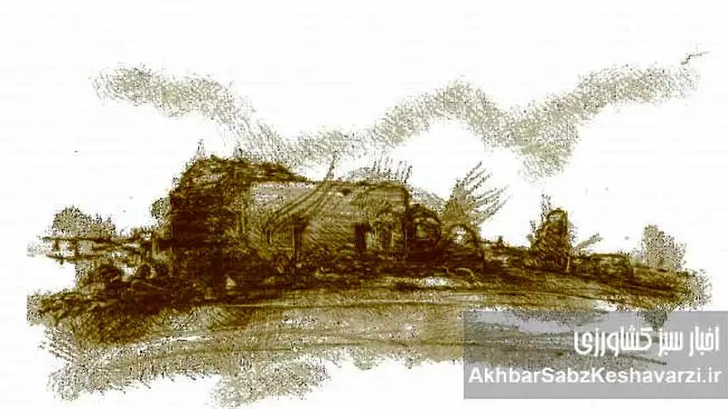 میلیون‌ها هکتار اراضی کشاورزی آلوده به فلزات سنگین+اینفوگرافی