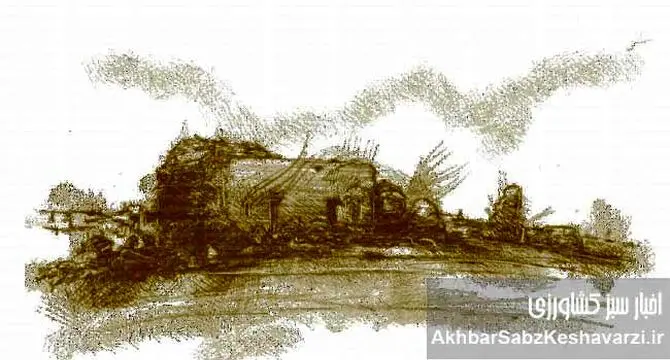 میلیون‌ها هکتار اراضی کشاورزی آلوده به فلزات سنگین+اینفوگرافی