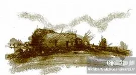 میلیون‌ها هکتار اراضی کشاورزی آلوده به فلزات سنگین+اینفوگرافی