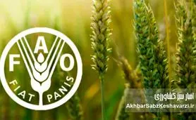 فائو: آینده شهرهای جهان به خاک سالم وابسته است