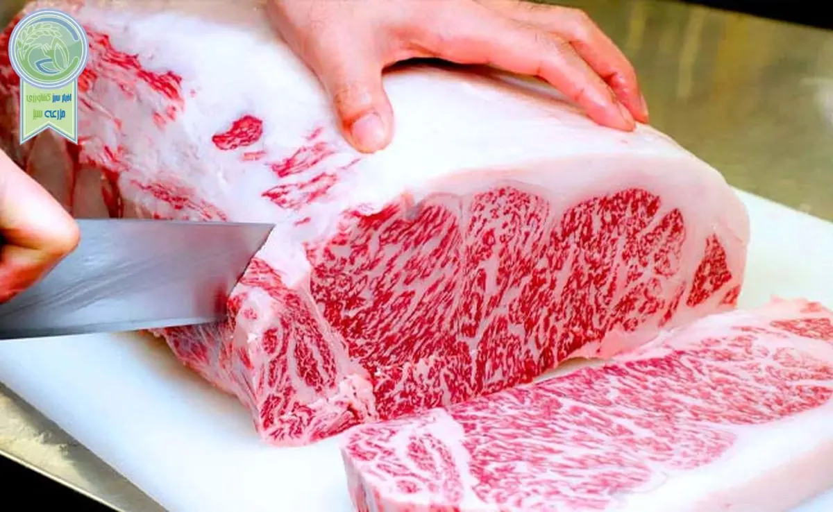 ارزان‌ترین و گران‌ترین گوشت های بازار کدامند؟

