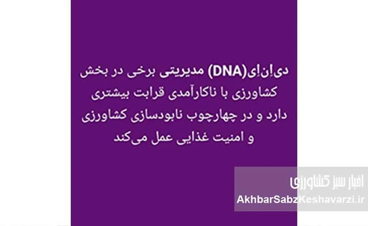  تحلیل علمی یک استاد دانشگاه از D N A مدیریتی وزیر جهاد کشاورزی+عکس