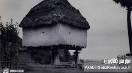 کشاورزی ایران در پهلوی اول: رویارویی دهقانان با چالش‌های معیشتی و اصلاحات ناقص