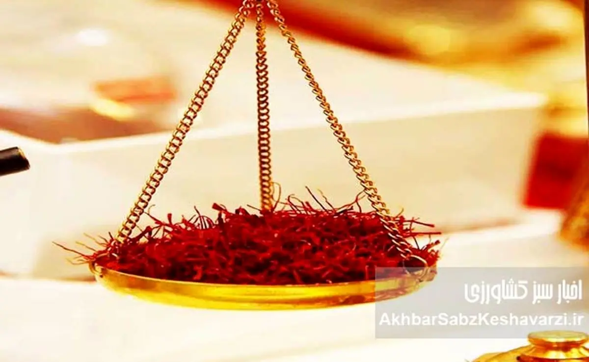 قیمت جدید زعفران: چشمانداز صادراتی طلایی!