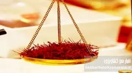 قیمت جدید زعفران: چشم‌انداز صادراتی طلایی!