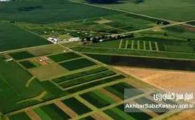 خردشدگی اراضی؛ مشکل با سند حل نمی‌شود؛ اقتصاد کشاورزی راه‌حل اصل