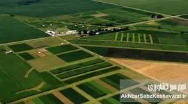 خردشدگی اراضی؛ مشکل با سند حل نمی‌شود؛ اقتصاد کشاورزی راه‌حل اصل