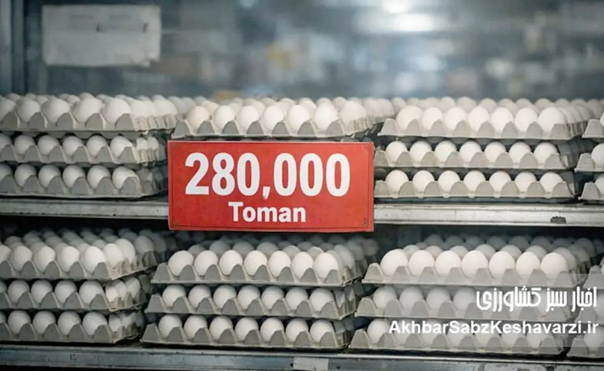 شانه تخم‌مرغ ۲۸۰ هزار تومان شد؛ چرا قیمت مصوب روی کاغذ ماند؟+ ویدئو