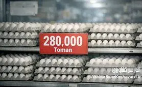 شانه تخم‌مرغ ۲۸۰ هزار تومان شد؛ چرا قیمت مصوب روی کاغذ ماند؟+ ویدئو