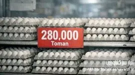 شانه تخم‌مرغ ۲۸۰ هزار تومان شد؛ چرا قیمت مصوب روی کاغذ ماند؟+ ویدئو