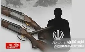 اسلحه‌های طلایی شاه در دست وزیر؟! «وزارت شکارخانه»: گزارش واگذاری سلاح‌های سلطنتی