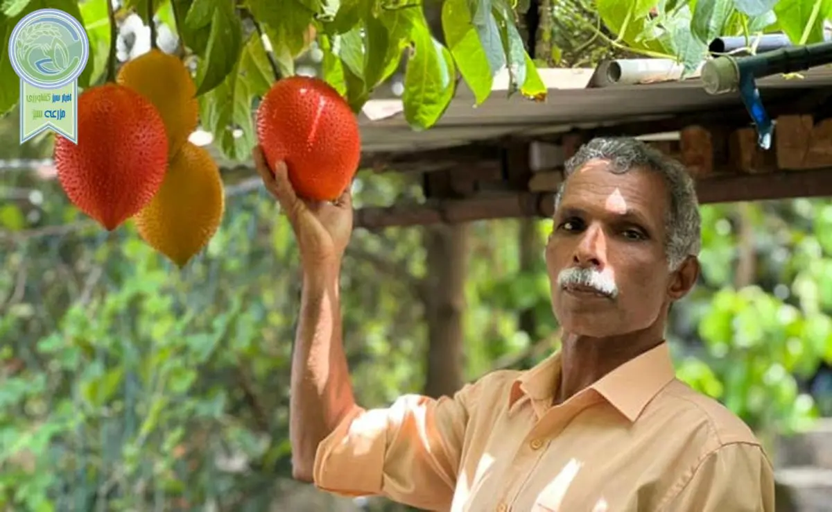 هند و حرکت از کشاورزی سنتی به کشاورزی مدرن 