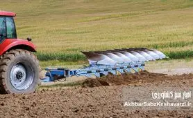 مدیریت زمین پس از برداشت: سرنوشت کشاورزی در چند ماه آینده