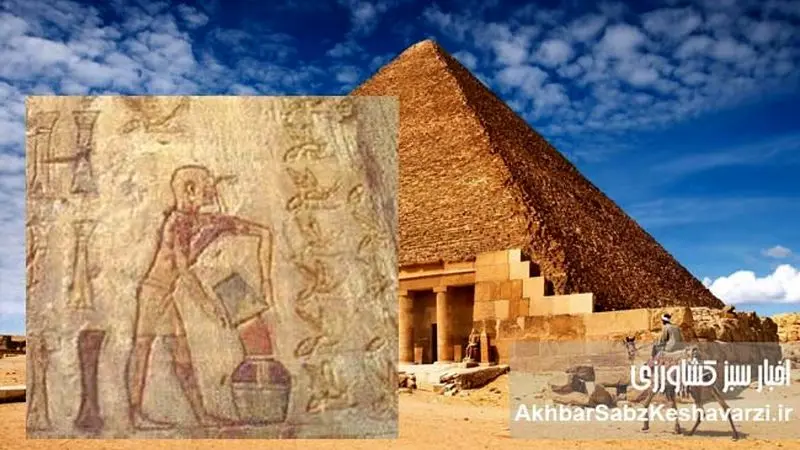 عسل فناناپذیر اهرام مصر پس از 3000 سال+ ویدئو
