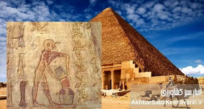 عسل فناناپذیر اهرام مصر پس از 3000 سال+ ویدئو