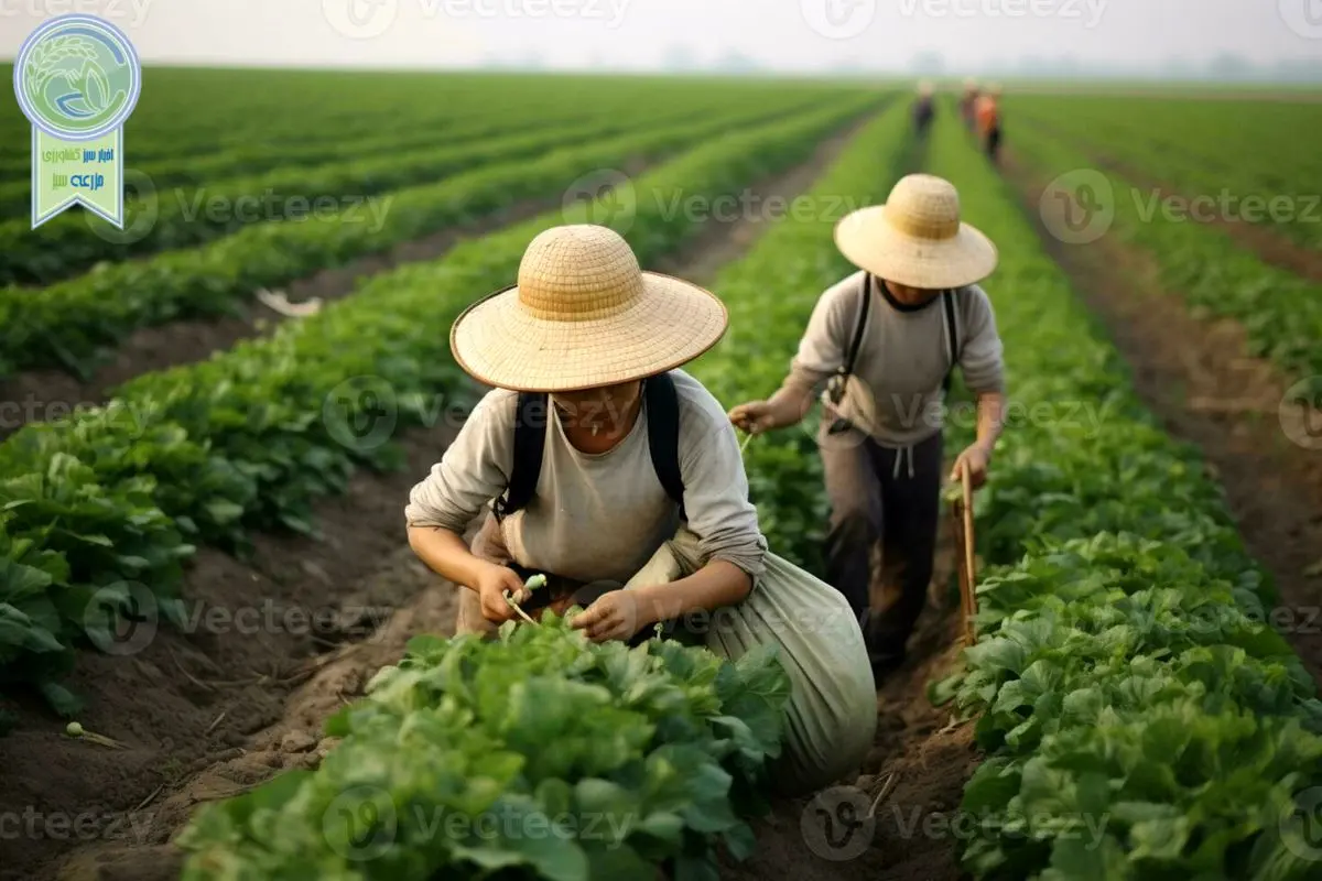 چرا جوانان ژاپنی از کشاورزی دوری می کنند؟