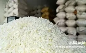 برنج جهانی ارزان، اما برنج سفره ایرانی گرانتر از همیشه