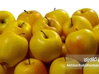 یک سیب در روز، پزشک را از شما دور می‌کند»: راز سلامتی در این میوه ساده نهفته است!