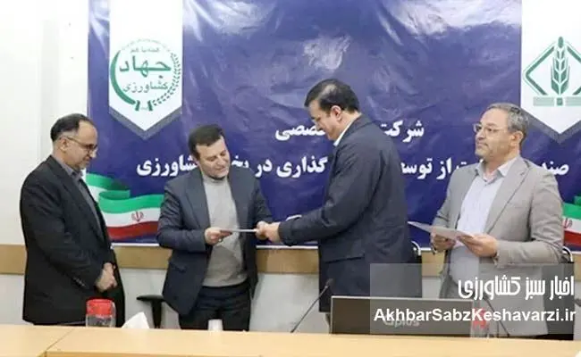 مدیرعامل جدید صندوق سرمایه‌گذاری کشاورزی منصوب شد