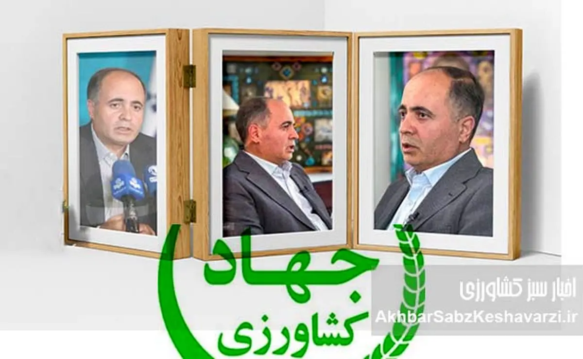 رییس جمهور: از تو گران کردن از من حمایت کردن؛ پشت پرده حمایتهای پزشکیان از نوری قزلجه