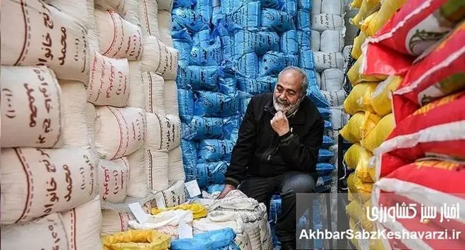 بی‌ثباتی قیمت برنج در بازار؛ از عمده‌فروشی ۳۲۰‌هزار تومانی تا خرده‌فروشی ۴۳۰‌هزار تومانی+ ویدئو