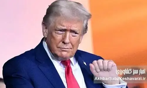 چرا وعده آزادی ترامپ یک فریب بزرگ است؟