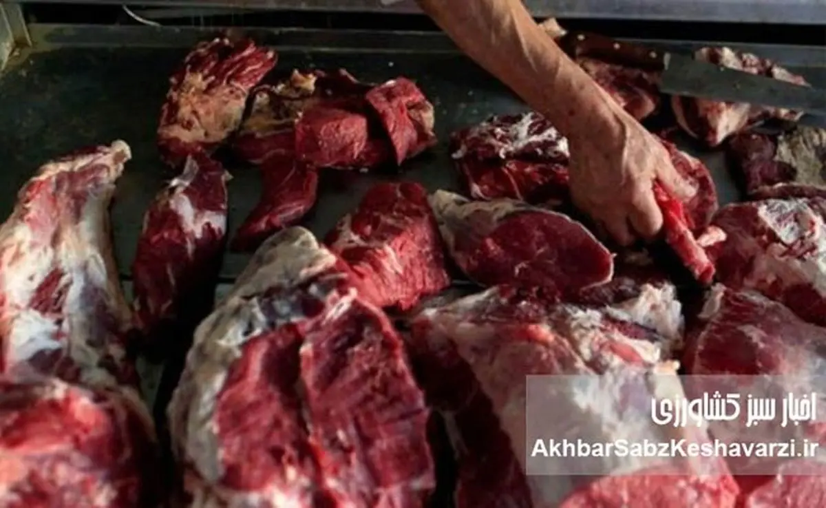 برچسب «گوشت گوساله برزیلی» روی گوشت‌های غیرمجاز! +ویدئو