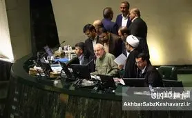 چرا عمده انتقادهای مجلس علیه وزیر جهاد کشاورزی است؟