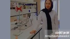 کیمیای سبز رفسنجان؛ خدمات نوین آزمایشگاهی کشاورزی با استانداردهای بین‌المللی