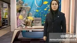 قدرت‌نمایی شیلات در IFEX 2025؛ دکتر رحمانی از حضور ۱۵۰ شرکت خبر داد