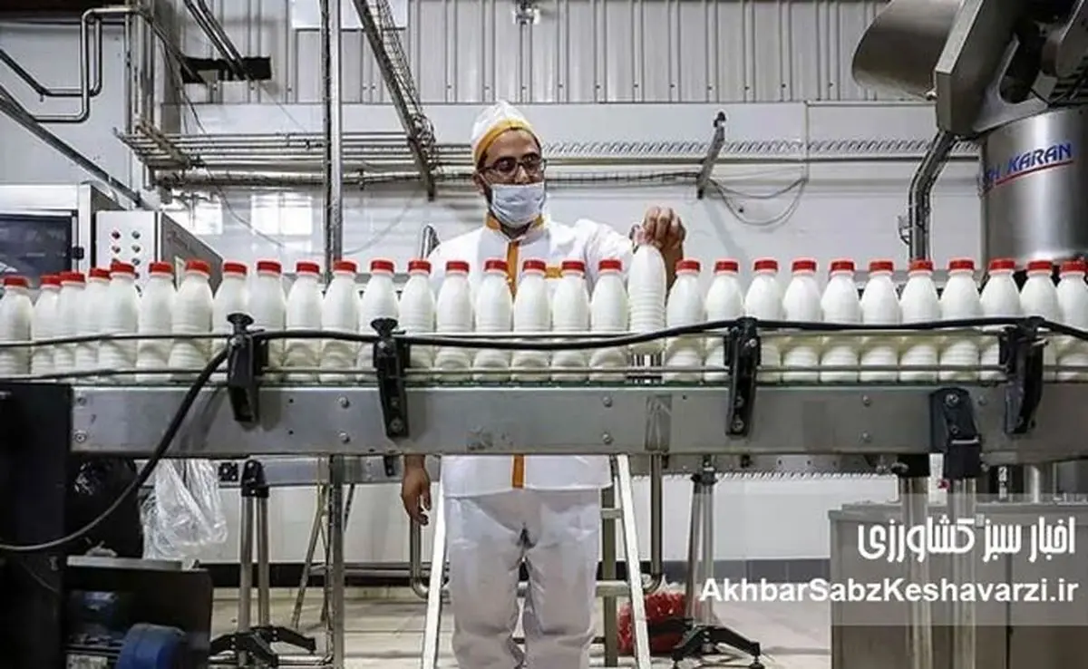 قیمت شیر خام هر روز تغییر می‌کند؛ بازار لبنیات در بلبشوی کامل