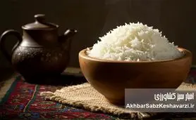 حذف برنج و ریزش مو؛ شوک پنهان رژیم‌های لاغری به بدن