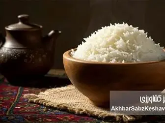 حذف برنج و ریزش مو؛ شوک پنهان رژیم‌های لاغری به بدن