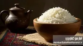 حذف برنج و ریزش مو؛ شوک پنهان رژیم‌های لاغری به بدن