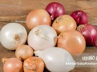 پیاز سفید یا قرمز؟ مقایسه کامل خواص و فواید این دو دوست سلامتی