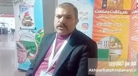 واردات نهاده‌های دامی انحصاری شد؟ تولیدکنندگان به بن‌بست رسیدند+ویدئو