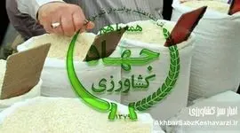 ارز ۲۸۵۰۰ تومانی برای واردکنندگان، برنج ۲۰۰ هزار تومانی برای مردم!