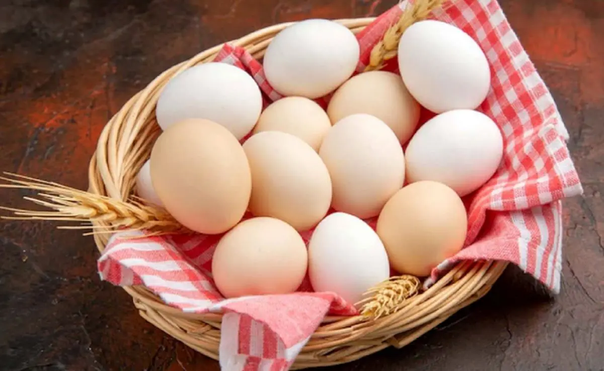 کاهش تولید و نوسان قیمت تخم مرغ؛ بازار در لبه پرتگاه