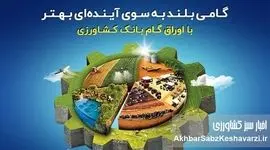 بانک کشاورزی پیشتاز تأمین مالی غیرتورمی شد