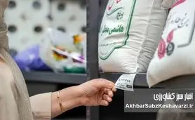 قیمت برنج جهش کرد؟ جدول تازه نرخ برنج ایرانی و وارداتی امروز