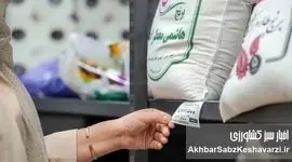 قیمت برنج جهش کرد؟ جدول تازه نرخ برنج ایرانی و وارداتی امروز