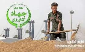 سقوط ۵۵ درصدی امنیت غذایی: واردات گندم به جای خودکفایی