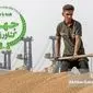 سقوط ۵۵ درصدی امنیت غذایی: واردات گندم به جای خودکفایی