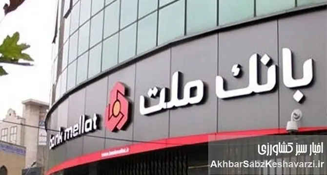 تکریم سالمندان در بانک ملت؛ حرکتی ارزشمند برای احترام به نسل تجربه!