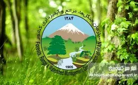 احتمال ناپدید شدن ۱۱۵ میلیارد ریال کارت هدیه در سازمان جنگل‌ها و مراتع کشور